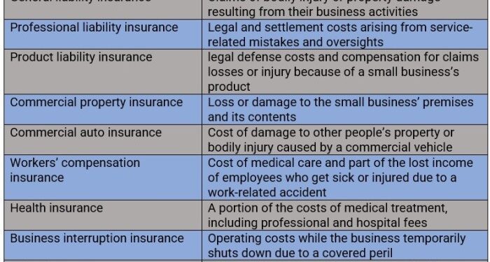 Everything you need to know about insurance for small businesses ...
