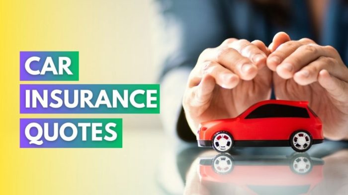 The Auto Insurance Tool Box: Top Tips for Beginner Drivers [infographic ...